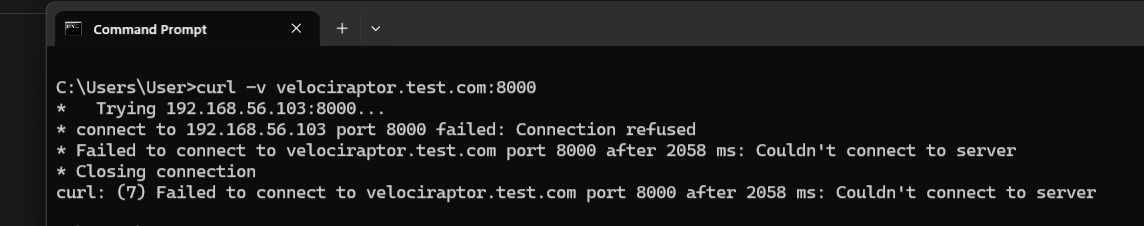Testing connectivity with curl