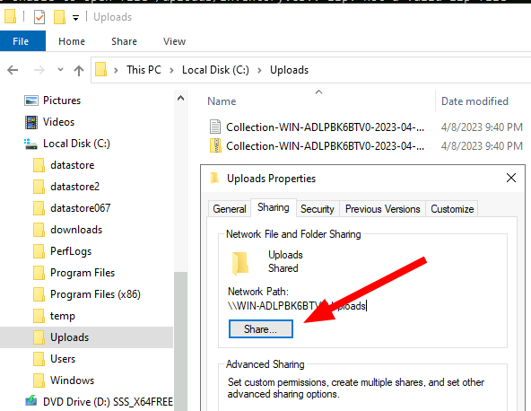 Right click on directory and select properties/sharing tab then click the share button